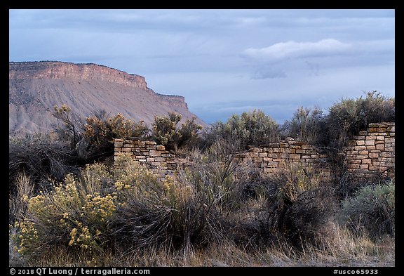 Lower House and cliff. Yucca House National Monument, Colorado, USA