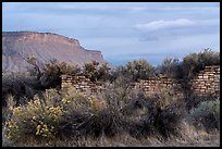 Lower House and cliff. Yucca House National Monument, Colorado, USA ( color)