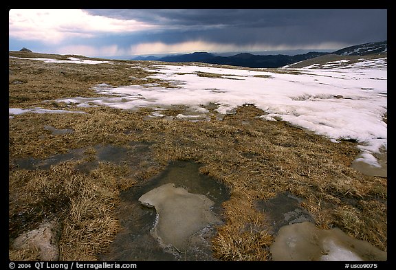Tundra and snow on Mt Evans. Colorado, USA (color)