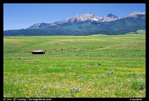 Meadow, Sangre de Cristo range. Colorado, USA
