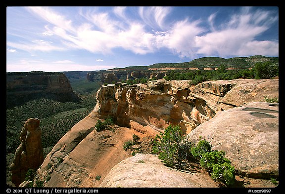 Cliffs. Colorado National Monument, Colorado, USA