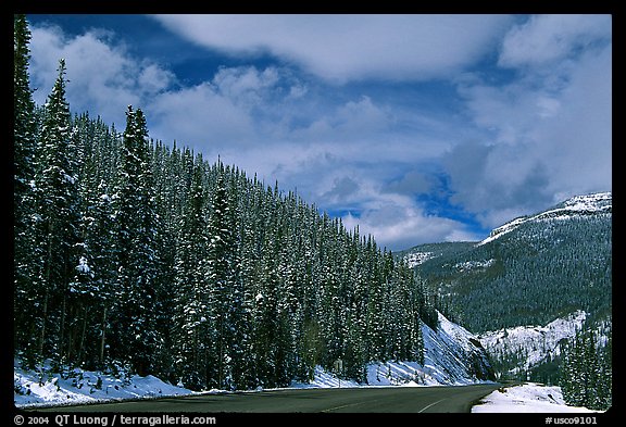 Highway near the Continental Divide at Monarch Pass. Colorado, USA (color)