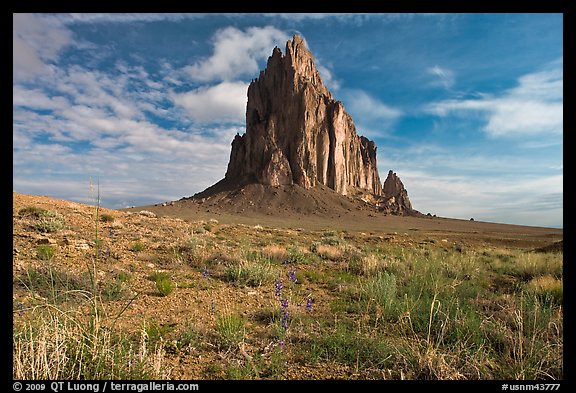 Wildflowers and Shiprock. Shiprock, New Mexico, USA (color)