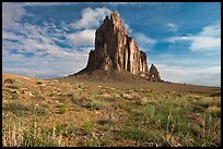 Wildflowers and Shiprock. Shiprock, New Mexico, USA ( color)