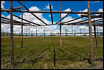 Drying rack in field. Taos, New Mexico, USA