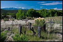 Woden crosses, cemetery, Picuris Pueblo. New Mexico, USA ( color)