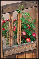 Roses and wooden doors, Sanctuario de Chimayo. New Mexico, USA