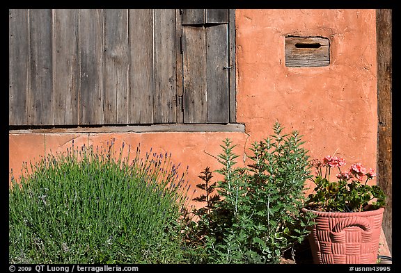 Flowers, mailbox, and weathered window. Santa Fe, New Mexico, USA
