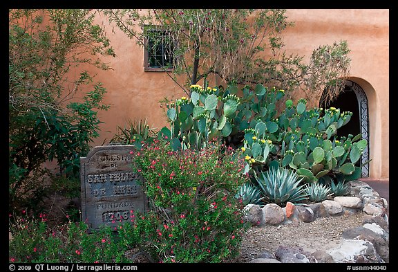 Desert plants and inscription, Church San Felipe de Neri. Albuquerque, New Mexico, USA