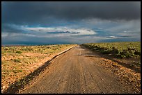 Primitive road under dark sky. New Mexico, USA (color)