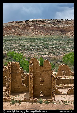 Ruined pueblo and cottonwoods trees. Chaco Culture National Historic Park, New Mexico, USA