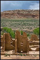 Ruined pueblo and cottonwoods trees. Chaco Culture National Historic Park, New Mexico, USA (color)
