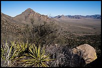 Baylor Peak rising above the desert. Organ Mountains Desert Peaks National Monument, New Mexico, USA ( color)