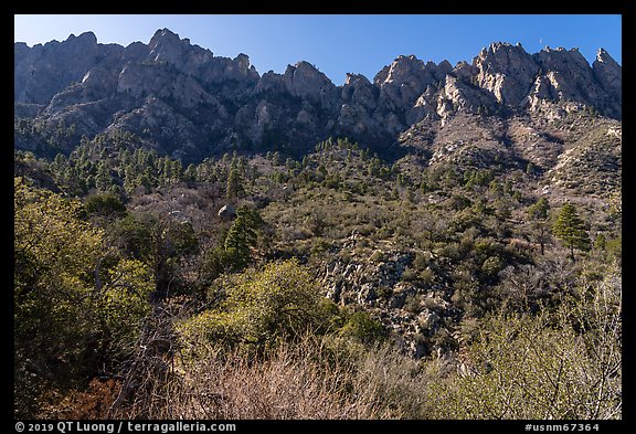 Organ Mountains above Aguirre Springs. Organ Mountains Desert Peaks National Monument, New Mexico, USA (color)