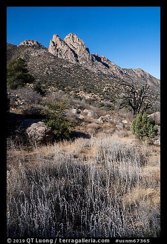 Rabbit Ears above Aguirre Springs. Organ Mountains Desert Peaks National Monument, New Mexico, USA (color)