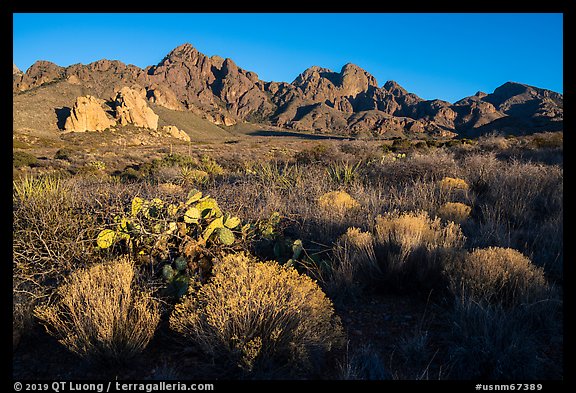 Desert plants, rock spires, Organ Peak, and Baldy Peak. Organ Mountains Desert Peaks National Monument, New Mexico, USA (color)