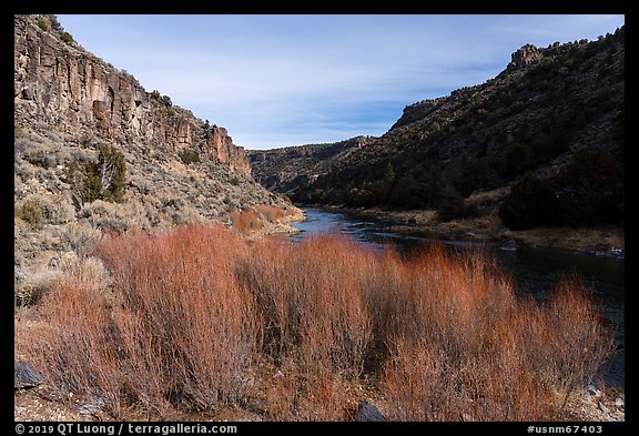 Red willows and Rio Grande River in winter. Rio Grande Del Norte National Monument, New Mexico, USA