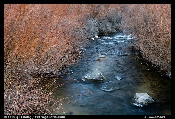 Stream and willows. Rio Grande Del Norte National Monument, New Mexico, USA