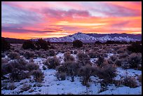 Sangre de Cristo Mountains from Wild Rivers Area, winter sunrise. Rio Grande Del Norte National Monument, New Mexico, USA ( color)