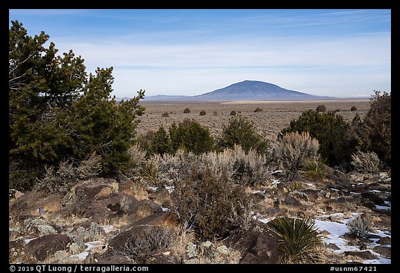 Sagebrush, desert plants, and Ute Mountain. Rio Grande Del Norte National Monument, New Mexico, USA