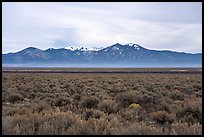 Sagebrush plateau incised by Rio Grande Gorge and Sangre De Cristo Mountains. Rio Grande Del Norte National Monument, New Mexico, USA ( color)