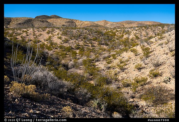 Robledo Mountains, Prehistoric Trackways National Monument. Organ Mountains Desert Peaks National Monument, New Mexico, USA