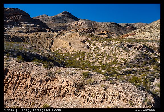 Robledo Mountains. Organ Mountains Desert Peaks National Monument, New Mexico, USA