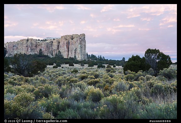 Sage and sandstone cuesta. El Morro National Monument, New Mexico, USA