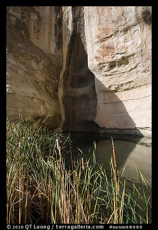 Pool at the base of cliff. El Morro National Monument, New Mexico, USA (color)