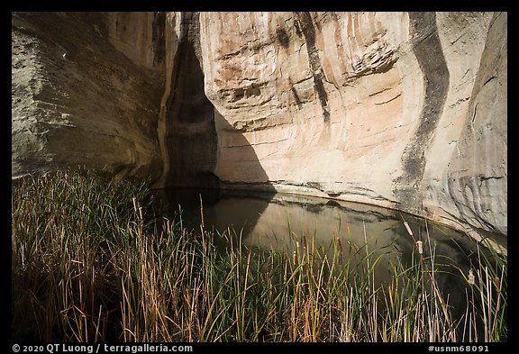 Water pool. El Morro National Monument, New Mexico, USA