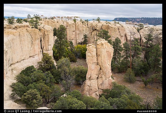 Monolith in box canyon. El Morro National Monument, New Mexico, USA
