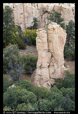 Sandstone monolith. El Morro National Monument, New Mexico, USA