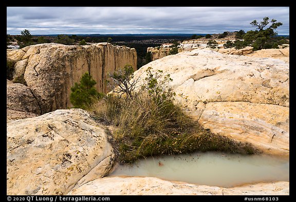 Rainwater pool on top of sandstone cliffs. El Morro National Monument, New Mexico, USA (color)