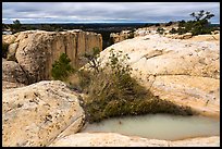 Rainwater pool on top of sandstone cliffs. El Morro National Monument, New Mexico, USA ( color)