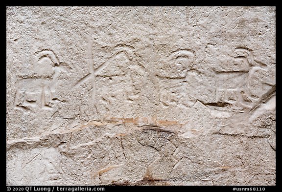 Petroglyps of big horn sheep. El Morro National Monument, New Mexico, USA
