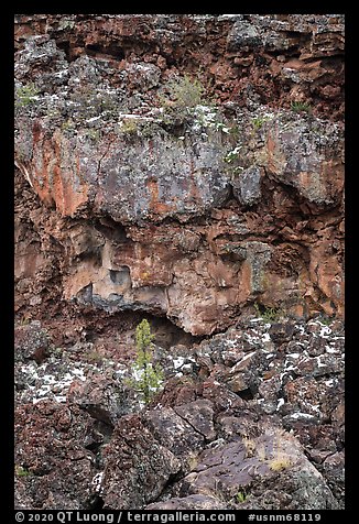 Lava cliff with tube entrance. El Malpais National Monument, New Mexico, USA (color)