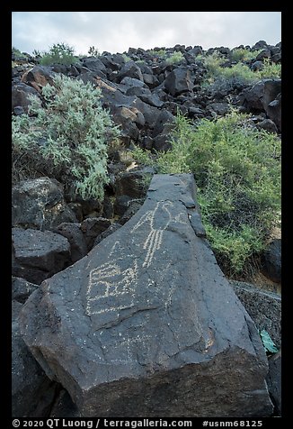 Petroglyphs on basalt rock, Petroglyph National Monument. New Mexico, USA