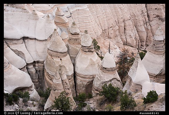 Tent rocks and trees in gorge. Kasha-Katuwe Tent Rocks National Monument, New Mexico, USA