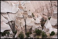 Tent rocks and trees in gorge. Kasha-Katuwe Tent Rocks National Monument, New Mexico, USA ( color)