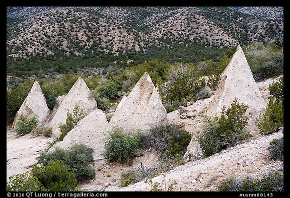 White pyramidal rocks. Kasha-Katuwe Tent Rocks National Monument, New Mexico, USA (color)
