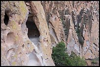 Caves in volcanic tuff rock. Bandelier National Monument, New Mexico, USA ( color)