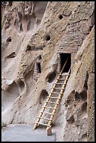 Ladder leading to cave dwelling. Bandelier National Monument, New Mexico, USA ( color)