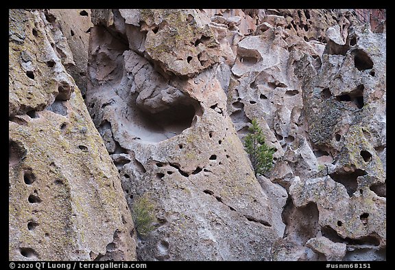 Volcanic tuff cliff with multitude of caves. Bandelier National Monument, New Mexico, USA (color)