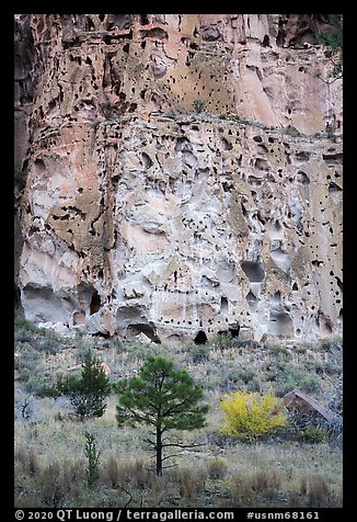 Cliff with cavates, Frijoles Canyon. Bandelier National Monument, New Mexico, USA (color)