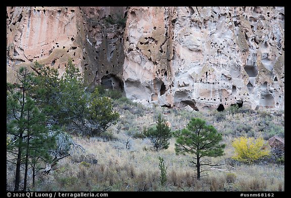 Cliff with cave dwellings rising from Frijoles Canyon. Bandelier National Monument, New Mexico, USA (color)