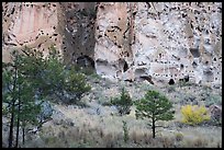 Cliff with cave dwellings rising from Frijoles Canyon. Bandelier National Monument, New Mexico, USA ( color)