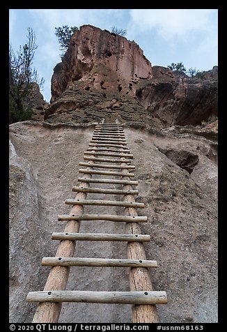 Tall ladder leading to Alcove House. Bandelier National Monument, New Mexico, USA