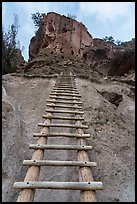 Tall ladder leading to Alcove House. Bandelier National Monument, New Mexico, USA ( color)
