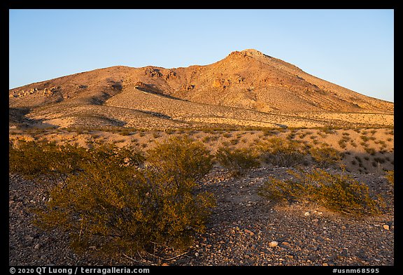 Shurbs and Picacho Mountain, late afternoon. Organ Mountains Desert Peaks National Monument, New Mexico, USA