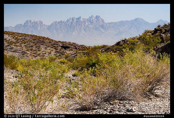 Organ Mountains from Box Canyon. Organ Mountains Desert Peaks National Monument, New Mexico, USA (color)